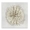 Stupell Industries Natural Round Coral Wall Plaque Design by Caroline Kelly